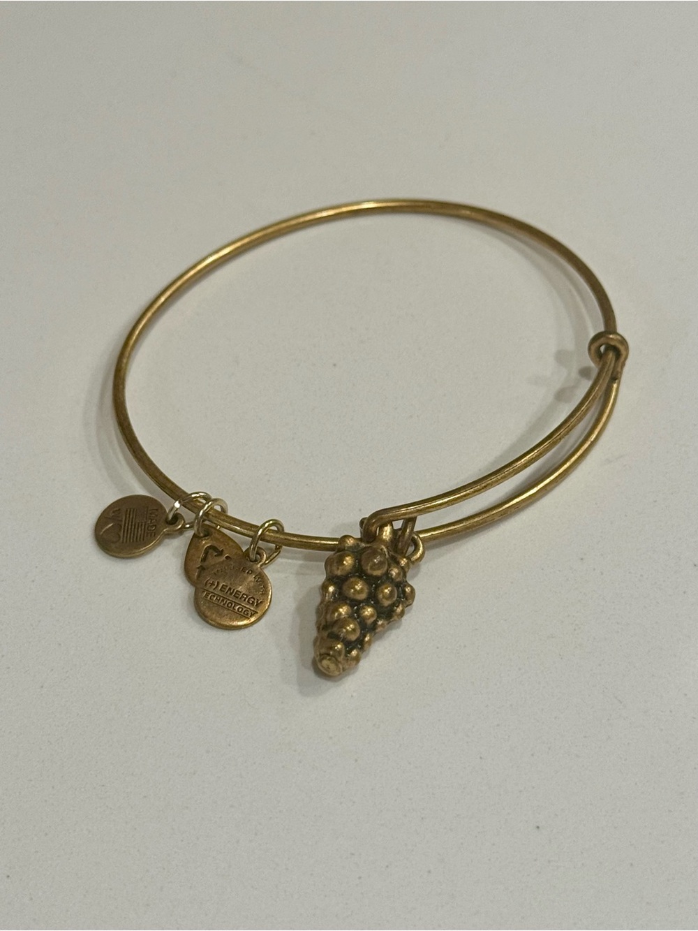 Alex and Ani Grapes Charm Bangle Rafaelian Gold Bracelet Retired